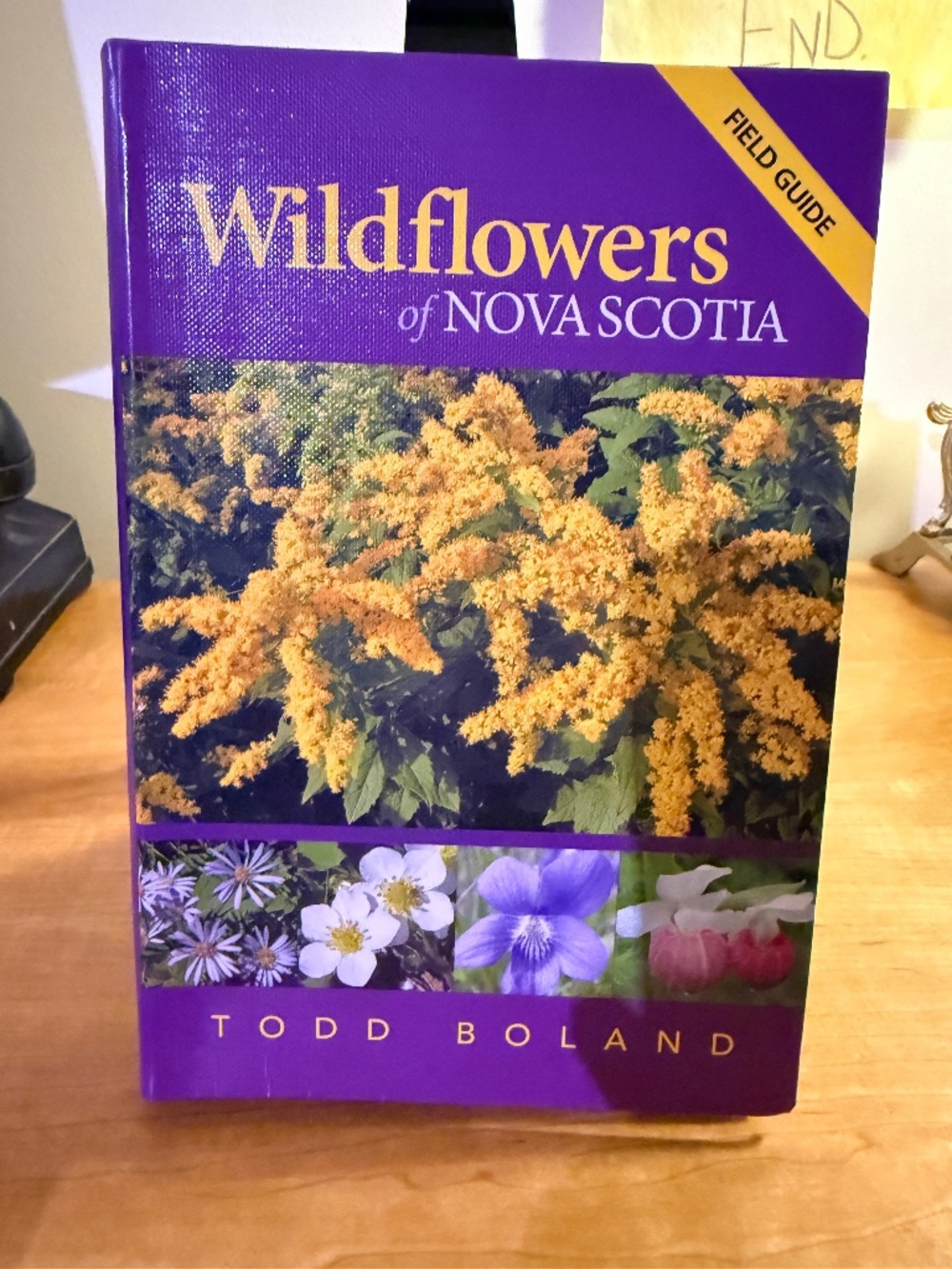 Wildflowers of Nova Scotia NEW